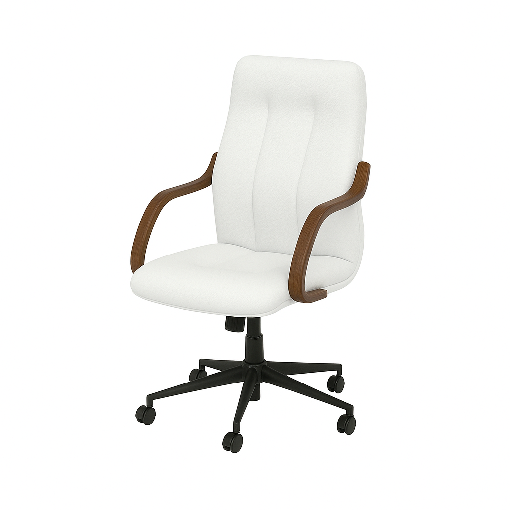 Scaun birou piele ALBA | model OVO