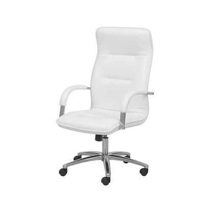 Scaun birou piele ALBA | model OMEGA P