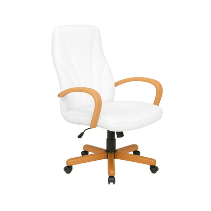 Scaun ergonomic piele ALBA | model BETA P